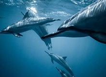 女排世锦赛小组赛，中国女排3比1战胜哥伦比亚女排